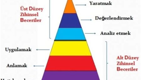 Coğrafya Testinde Başarılı Olmanın Yolları: Harita Okuma ve Konu Ağırlıkları