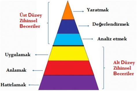 Coğrafya Testinde Başarılı Olmanın Yolları: Harita Okuma ve Konu Ağırlıkları